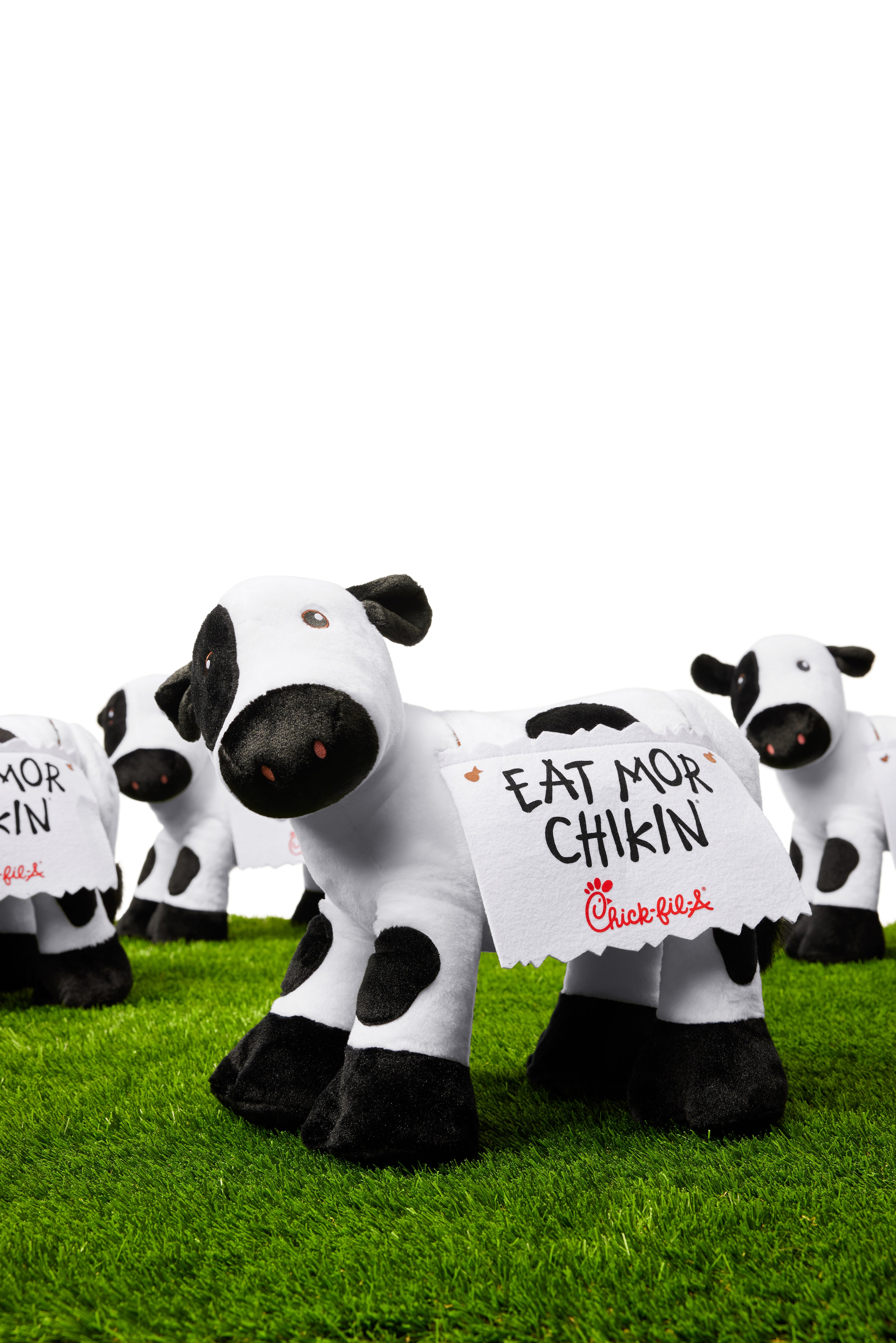 Chick fil a cow stuffed animal on sale